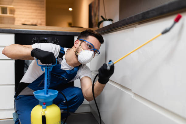 Best Exterminator Services  in Eerlin, ND
