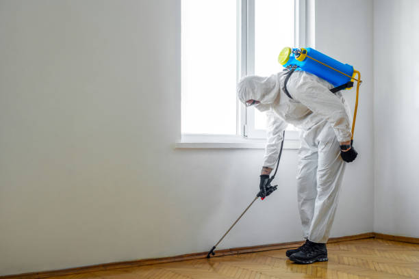 Best Rat Extermination Near Me  in Eerlin, ND