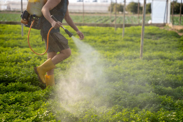 Best Flea Control Services  in Eerlin, ND