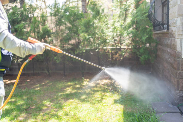 Best Wasp Removal Services  in Eerlin, ND
