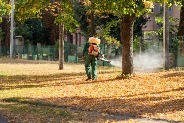 Best Local Pest Control Services  in Eerlin, ND