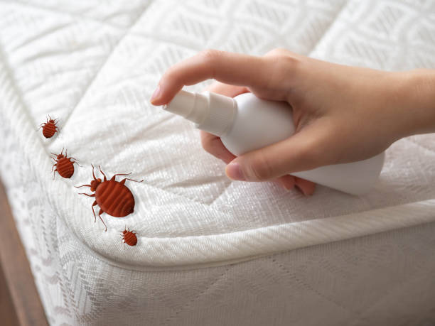 Best Emergency Pest Control  in Eerlin, ND