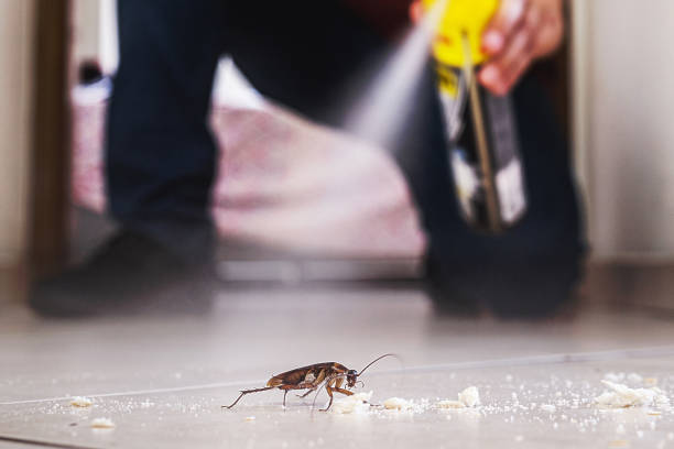 Enderlin, ND Pest Control Company