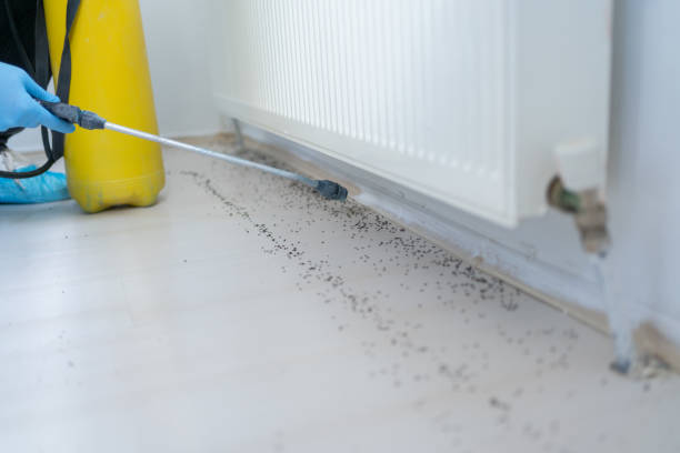 Best Local Pest Control Services  in Eerlin, ND