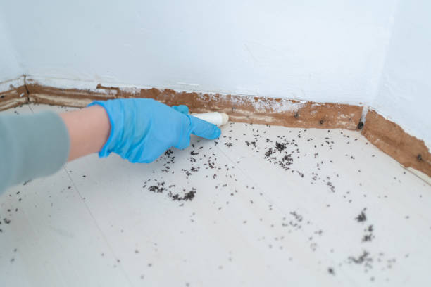 Best Pest Removal Services  in Eerlin, ND